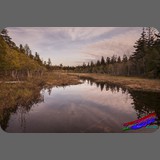 _MG_2668
A view of Lake Jordan in Acadia National Park, Maine